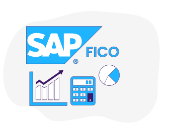 sap_fico_service_page-1